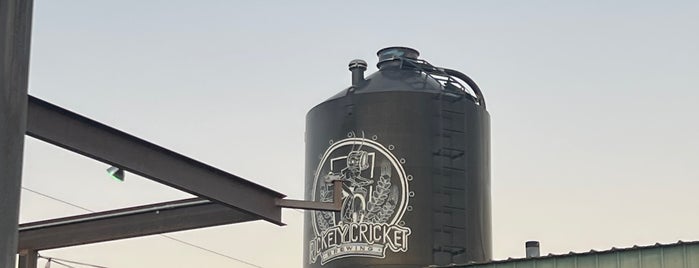 Rickety Cricket Brewing is one of Breweries.