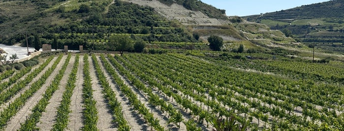 Ktima Gerolemo Winery is one of Cyprus.