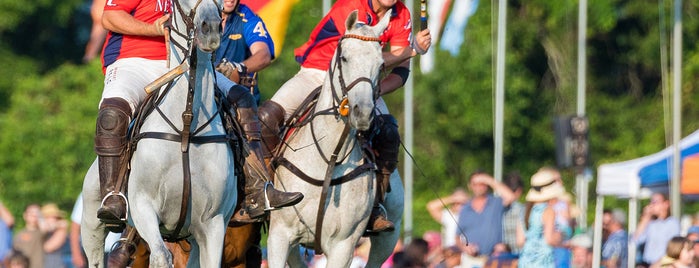 Newport Polo is one of Newport.