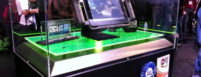 Razer Zone is one of CNET's Best of CES 2012.