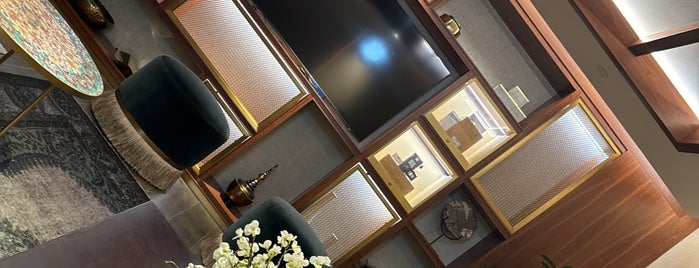 Al Majlis VIP Lounge is one of Dubai 🇦🇪.