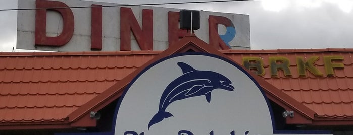 Blue Dolphin Diner is one of GRUBIN'.