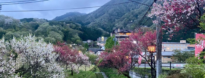 昼神温泉郷 is one of 露天風呂・温泉.