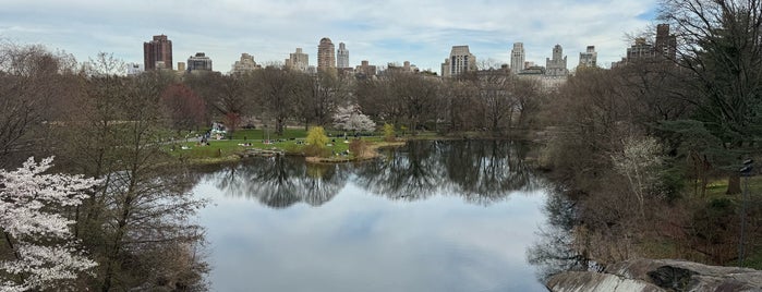 Vista Rock is one of Central Park.