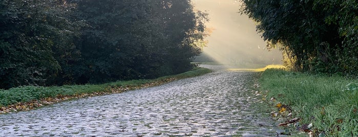 Mariaborrestraat is one of Belgium / Events / Ronde van Vlaanderen 2019.