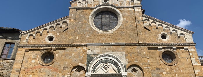 Basilica Cattedrale di Santa Maria Assunta is one of Trips / Tuscany.