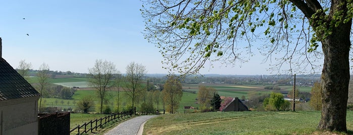 Paterberg is one of Belgium / Events / Ronde van Vlaanderen 2019.