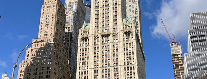 Woolworth Building is one of New York skyline.