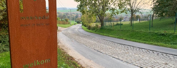 Eikenberg is one of Ronde Van Vlaanderen.