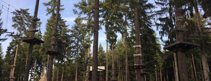 Mosel Adventure Forest - Kletterwald Mont Royal is one of Trips / Mosel.