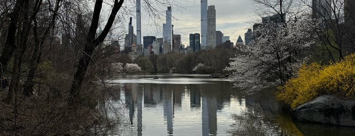 Bank Rock Oak Bridge is one of Central Park.