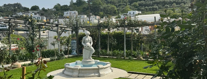 Da Paolino is one of Capri 🏝.