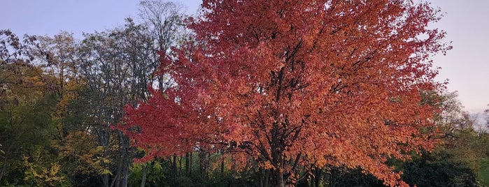 Dominick Lofino Park is one of Parks.