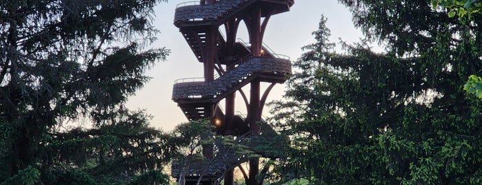 Cox Arboretum Tower is one of Places In Dayton.