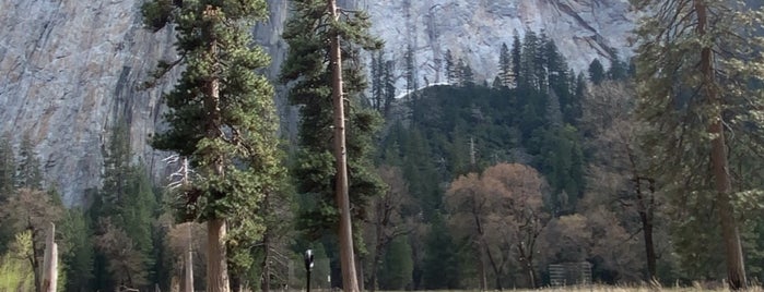 Yosemite Falls is one of California Bucket List.