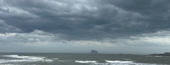 Bass Rock, North Berwick is one of Castle-Trail.