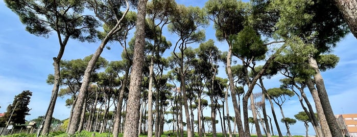 Parco Regionale Del Pineto is one of Bike.