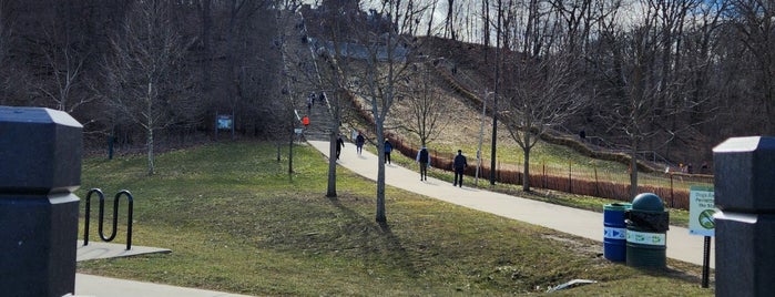 Swallow Cliff Woods is one of Chicagoland Trail Running.