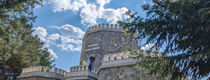 Castelul Iulia Hasdeu is one of Place to visit in România.