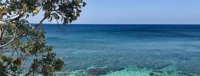 Capo Bianco is one of elba.