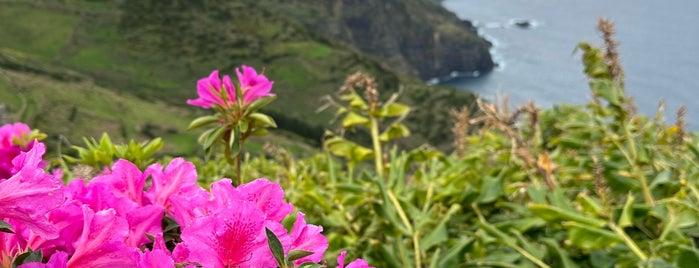 Miradouro Rocha dos Bordões is one of Flores.