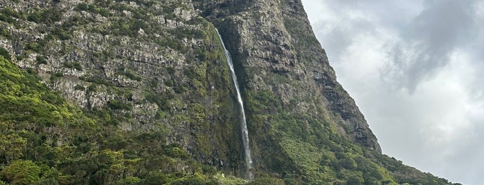 Cascata do Poço do Bacalhau is one of Flores.