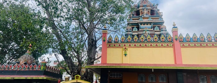 Ganesha Temple is one of Maysore.