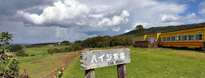 ハイジ牧場 is one of 遊ぶ.