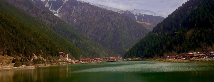 Uzungöl is one of Trabzon.