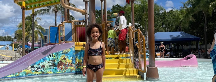 Rapids Water Park is one of Palm Beach.