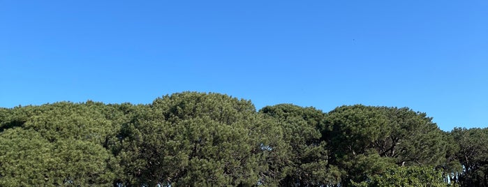 Centennial Park is one of Posti che sono piaciuti a Matt.