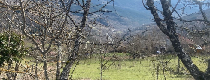 Valla Kanyonu is one of Kastamonu.