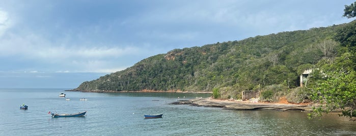 Praia da Tartaruga is one of Arraial do Cabo e Búzios.