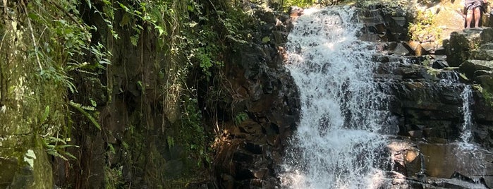 Trilha da Cachoeira do Poção is one of florianópolis.