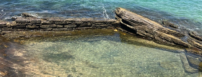 Praia da Azedinha is one of Viagem.