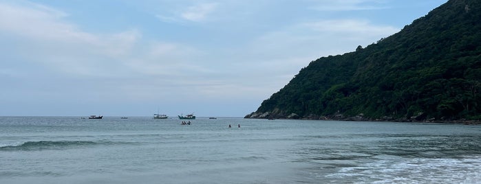Praia do Matadeiro is one of Viagem Florianópolis.