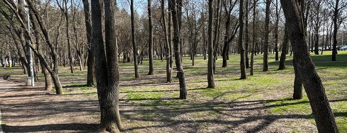 Северен парк is one of Posti che sono piaciuti a Silvina.