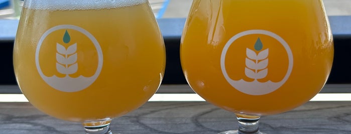 Pure Project Brewing is one of Brewskis.