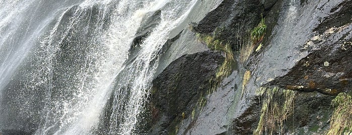 Powerscourt Waterfall is one of Ireland.