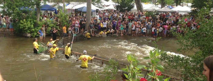Duck Race is one of My Favorites.