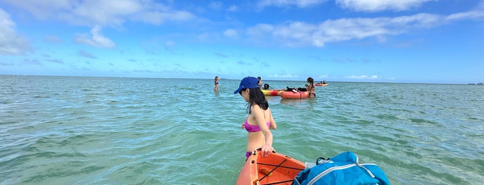 Kāneʻohe Sandbar is one of O'ahu Adventure.