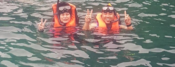 Diving @ Hin Kai is one of 🛥-Mu Ko Phi Phi National Park.
