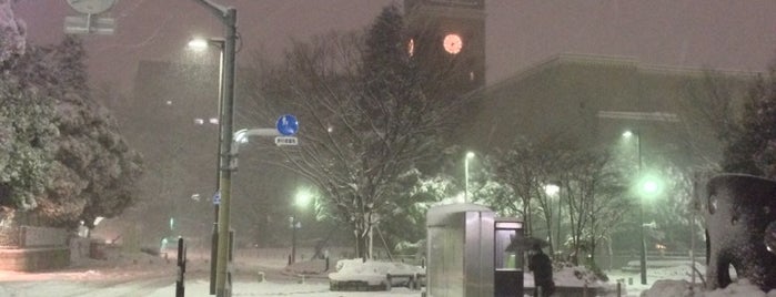 早稲田大学 国際教養学部事務所 is one of 早稲田大学早稲田.