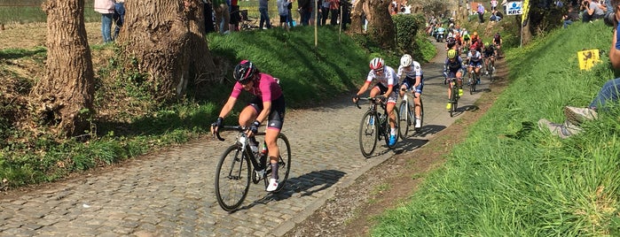 Oude Kwaremont is one of Belgium / Events / Ronde van Vlaanderen 2019.