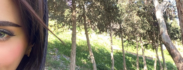Abu Khaiyal Park is one of Abha.