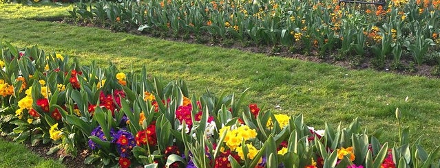 Paddington Street Garden is one of London's Parks and Gardens.