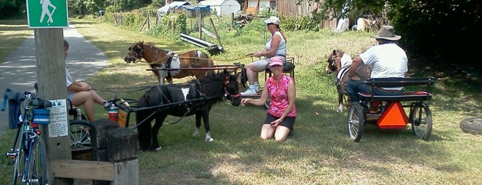 Withlacoochee State Trail - Rails To Trails is one of Lieux qui ont plu à Lizzie.