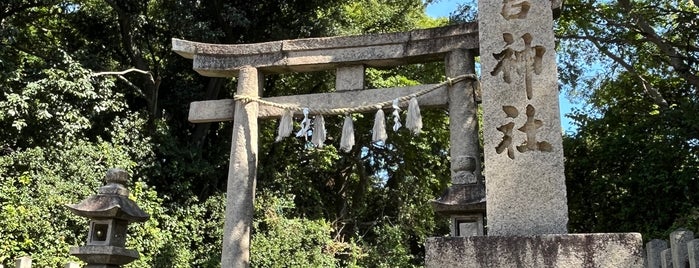 野々宮神社 is one of IT系ご利益がある寺社.