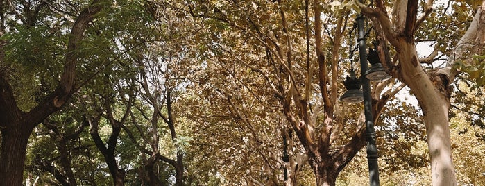 Jardines de Monforte is one of València.