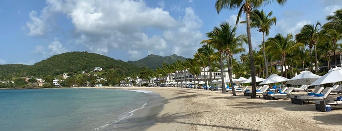 Carlisle Bay is one of Timさんのお気に入りスポット.